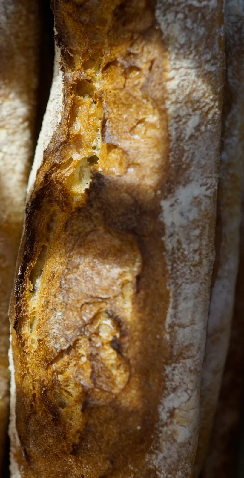 Baguette de tradition M&M Dudot à la croûte dorée